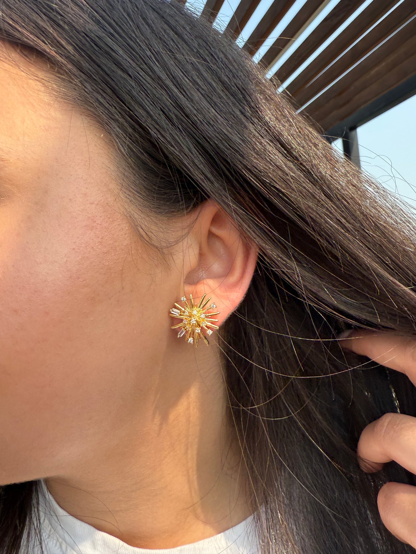 Stardust Burst Earrings