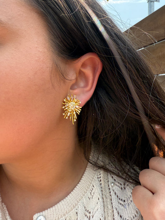 Crystal Burst Earrings