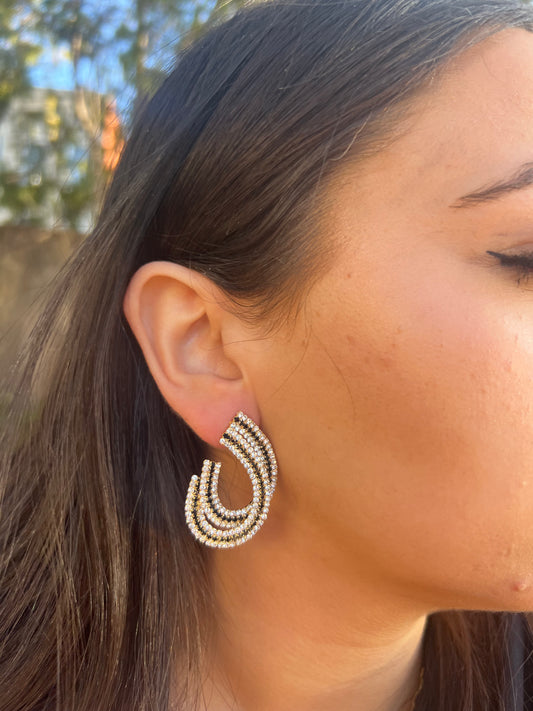 Black Styling Earrings