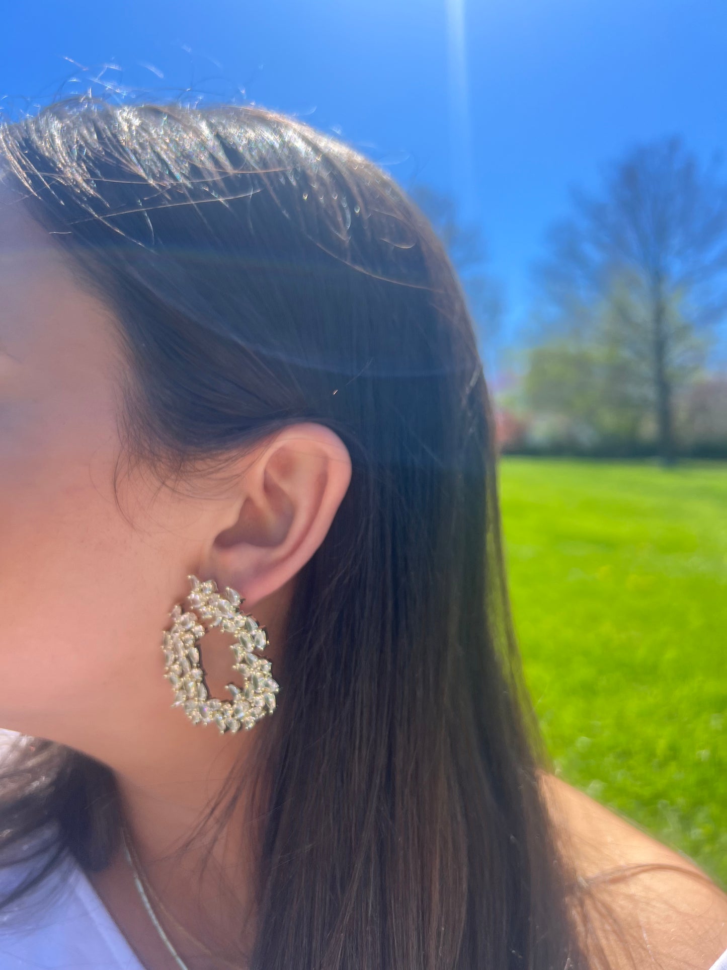 Cluster Shaped Looped Earrings