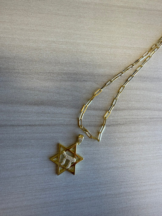 The Living Star Necklace
