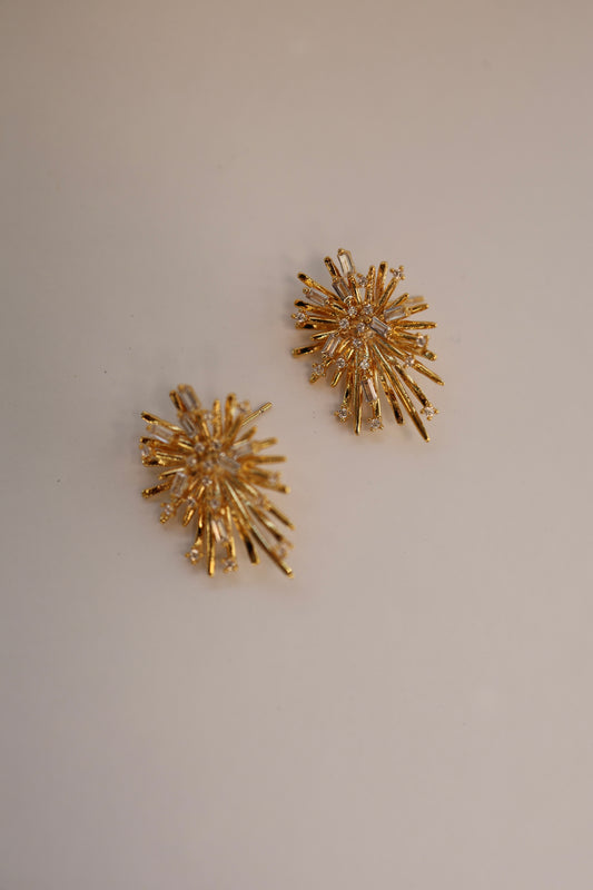 Crystal Burst Earrings