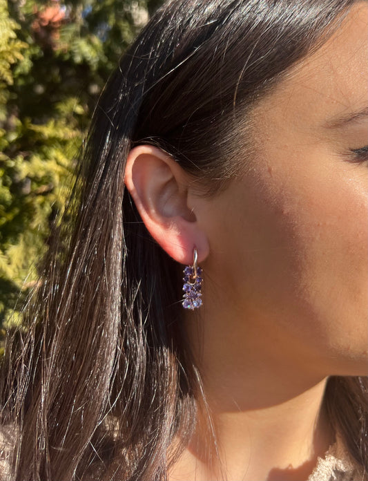 Shinny Purple Hoop Earrings