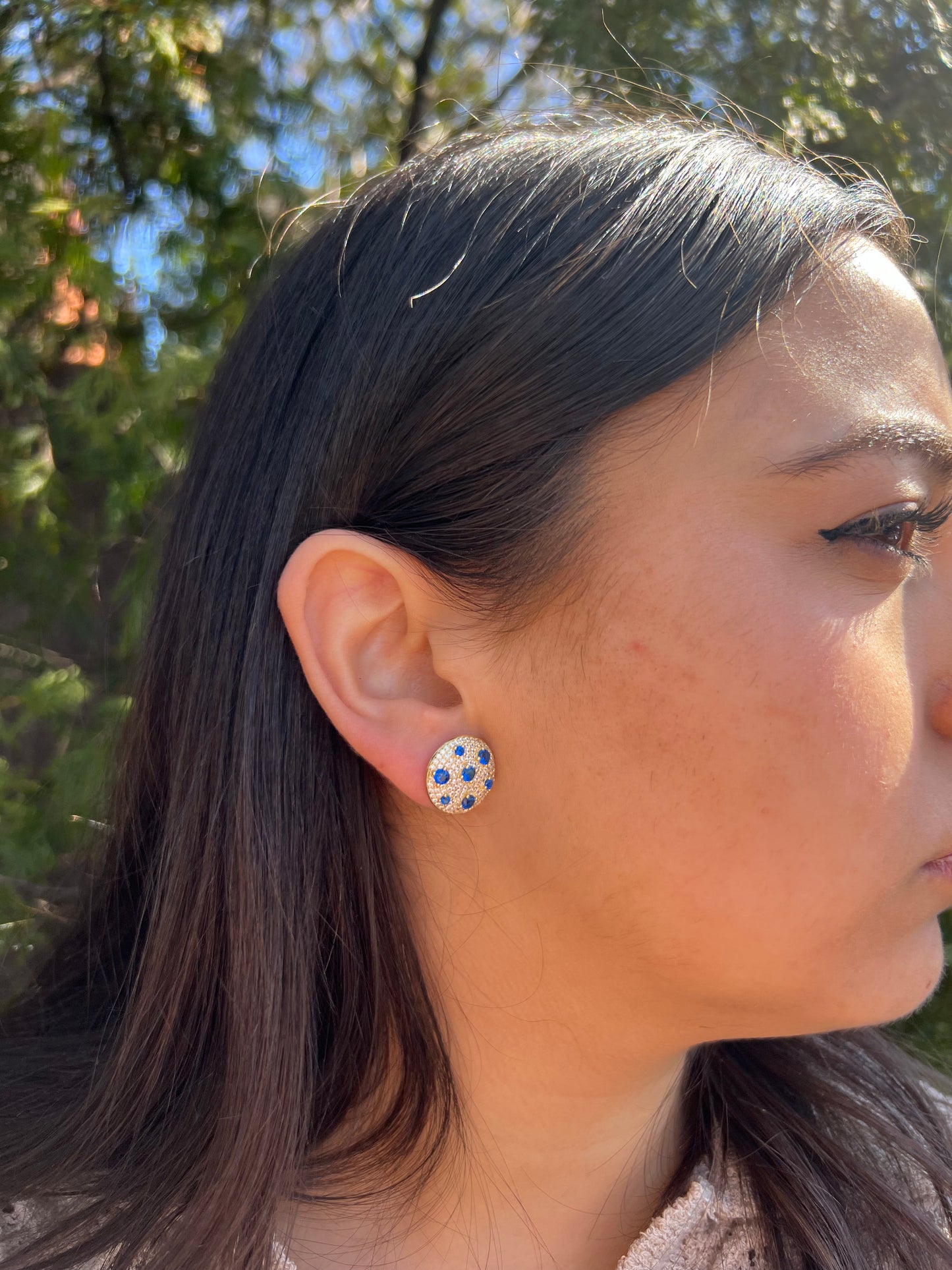 Bedazzled Stud Earrings