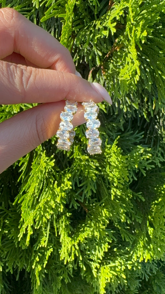 Oval Crystalized Hoop Earring