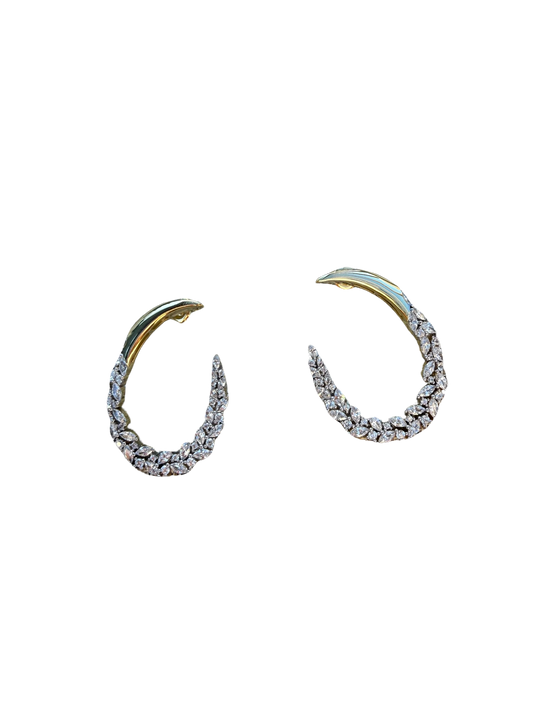 Crystal Shaped Loop Earrings