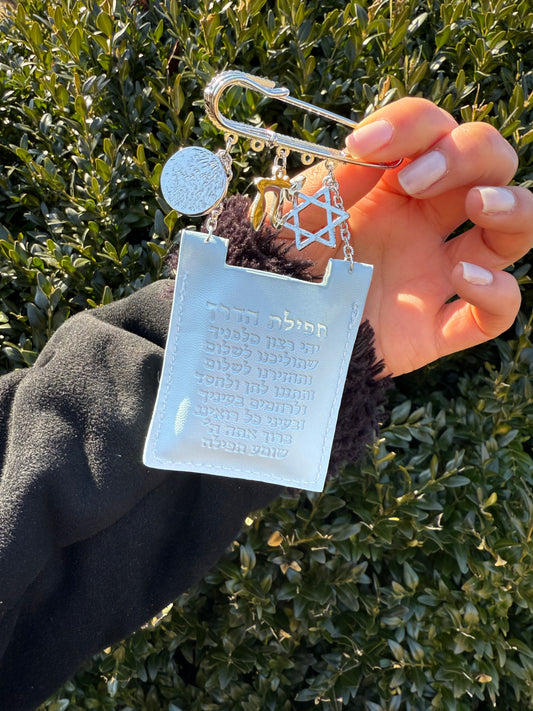 Baby Boy Tehilim Stroller Pin
