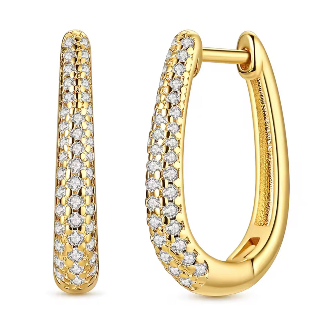 Trending Oval Hoop earrings