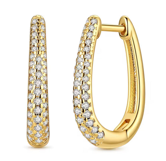 Trending Oval Hoop earrings