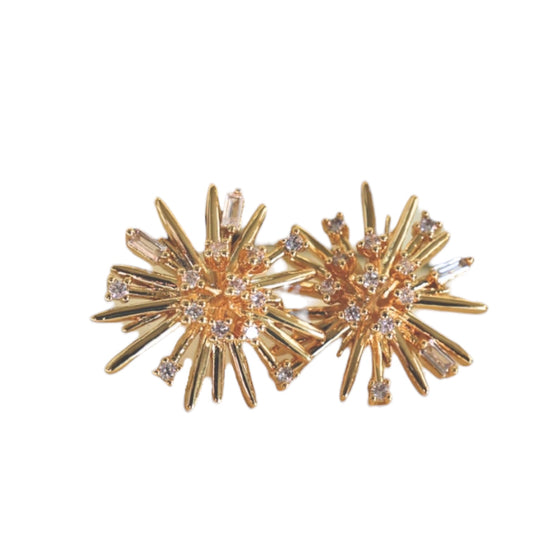 Stardust Burst Earrings
