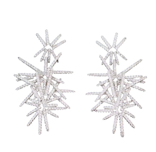 Spiked Silver Earrings