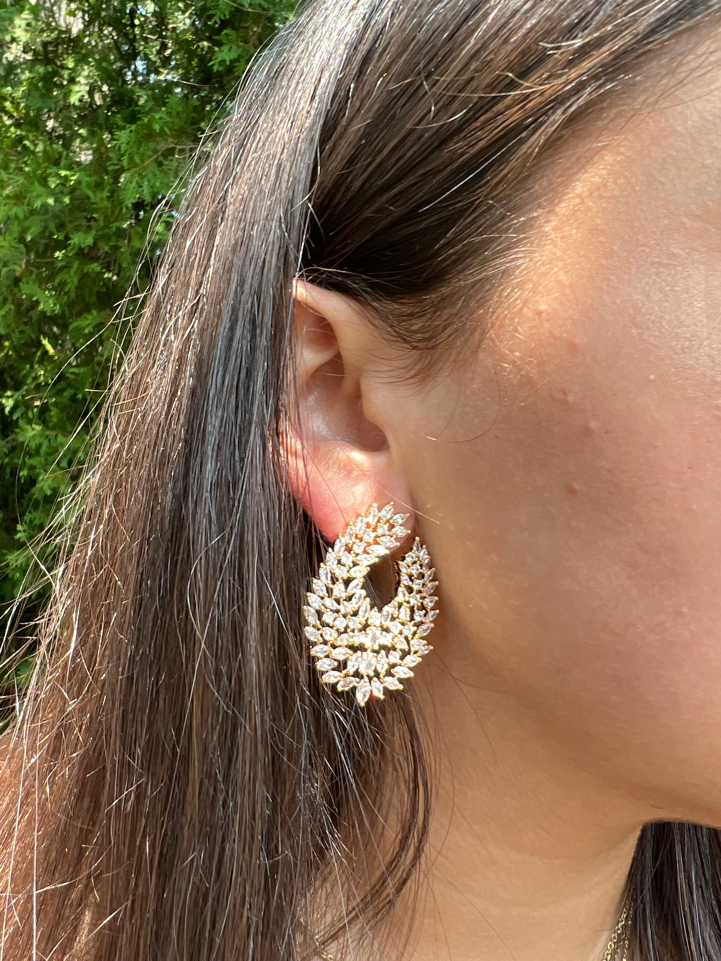 Showstopper Earrings