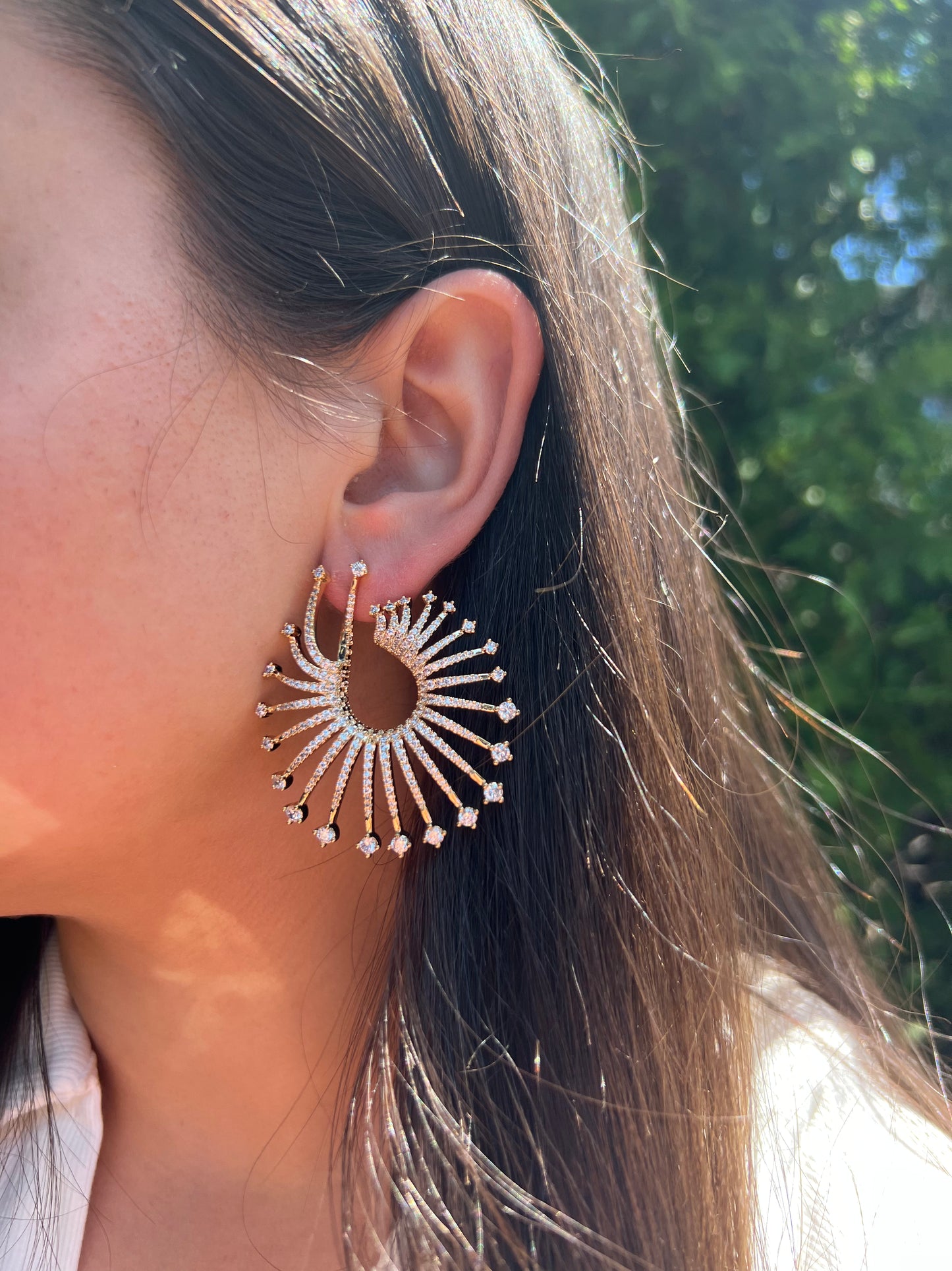 Burst Earrings