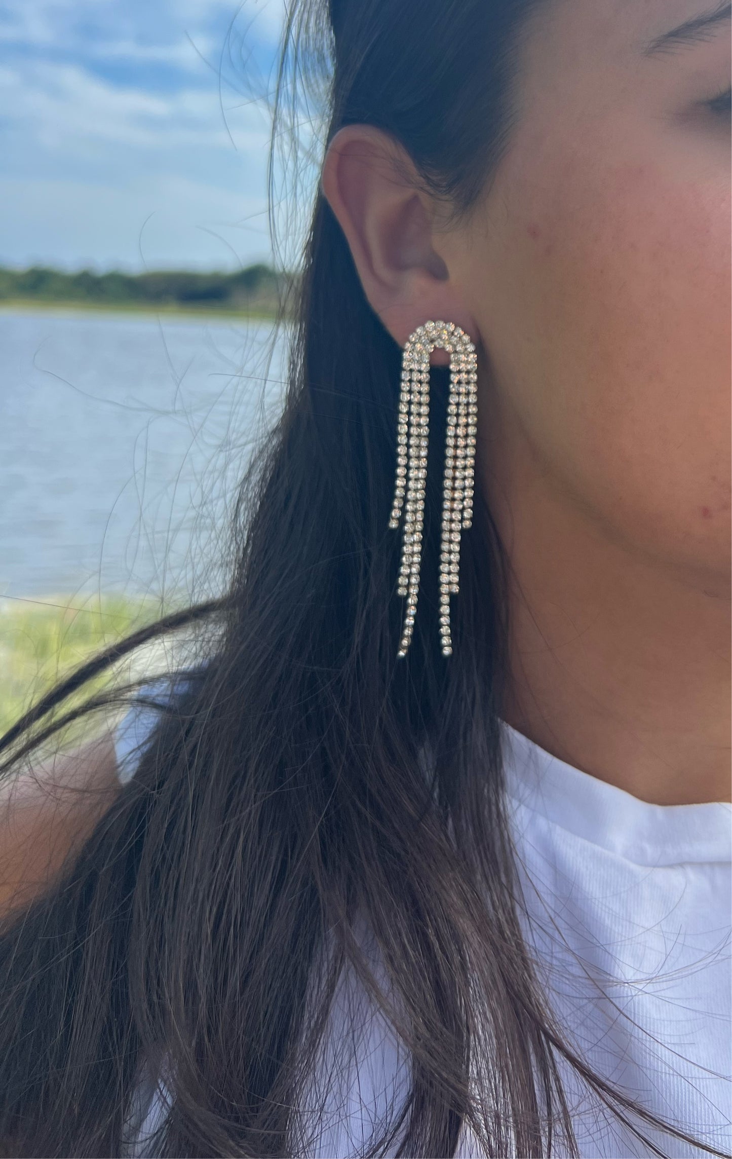 The Dazzle Earrings