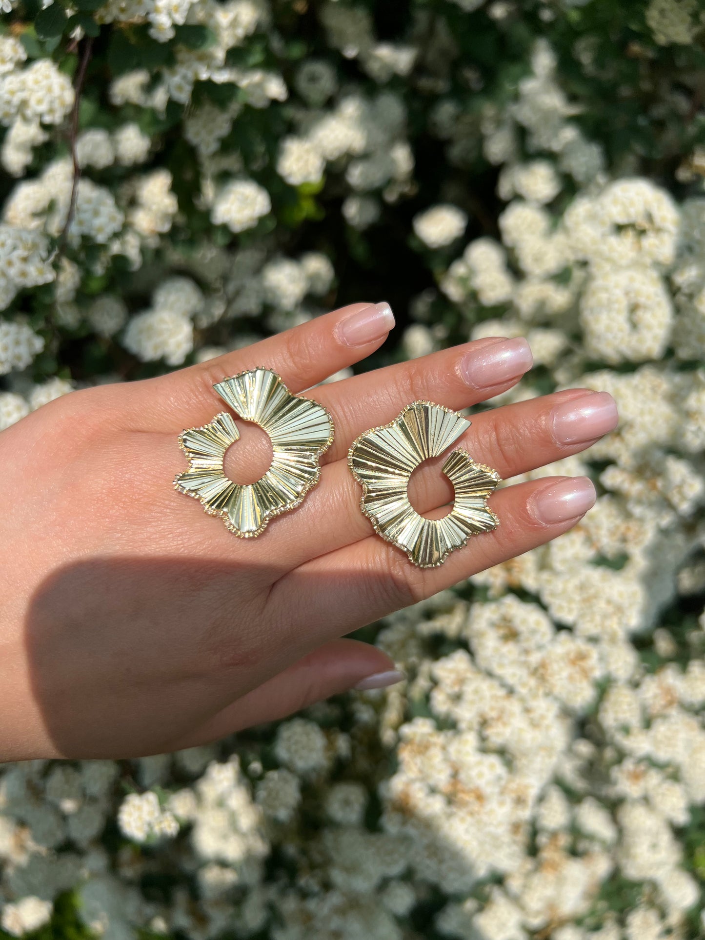 Gold trimmed Earrings