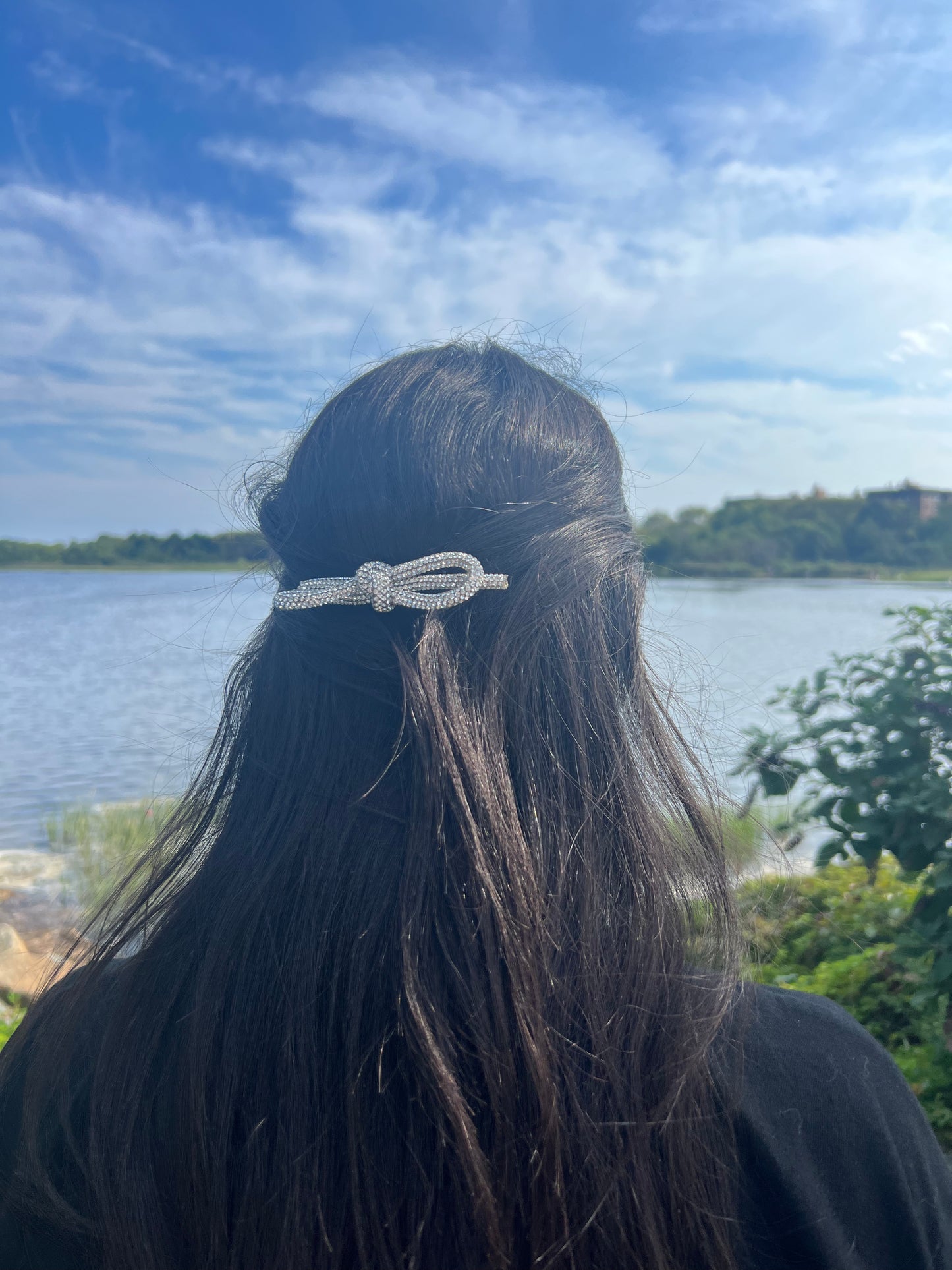 Badazzeled Bow Hair Clip