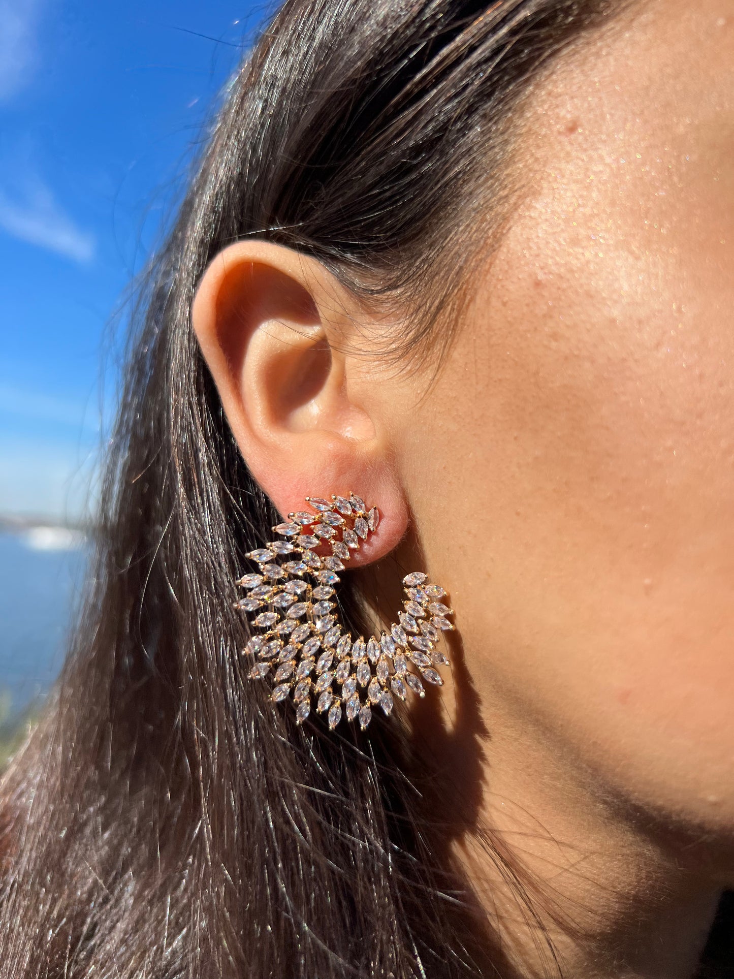 Outer burst Earring