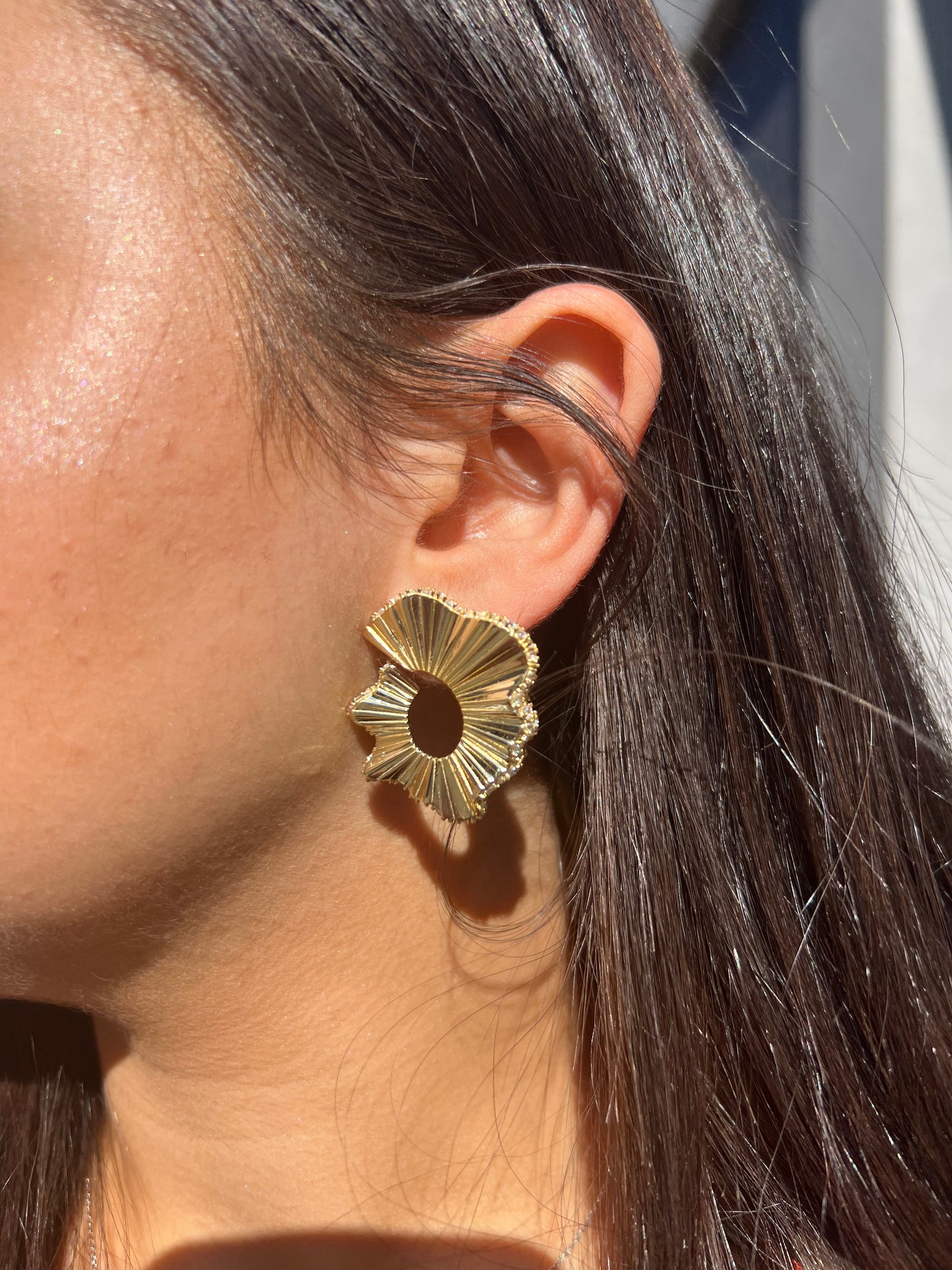 Gold trimmed Earrings