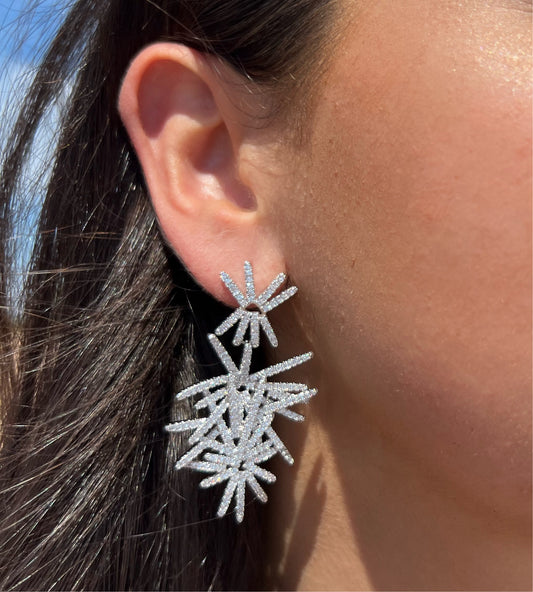 Spiked Silver Earrings