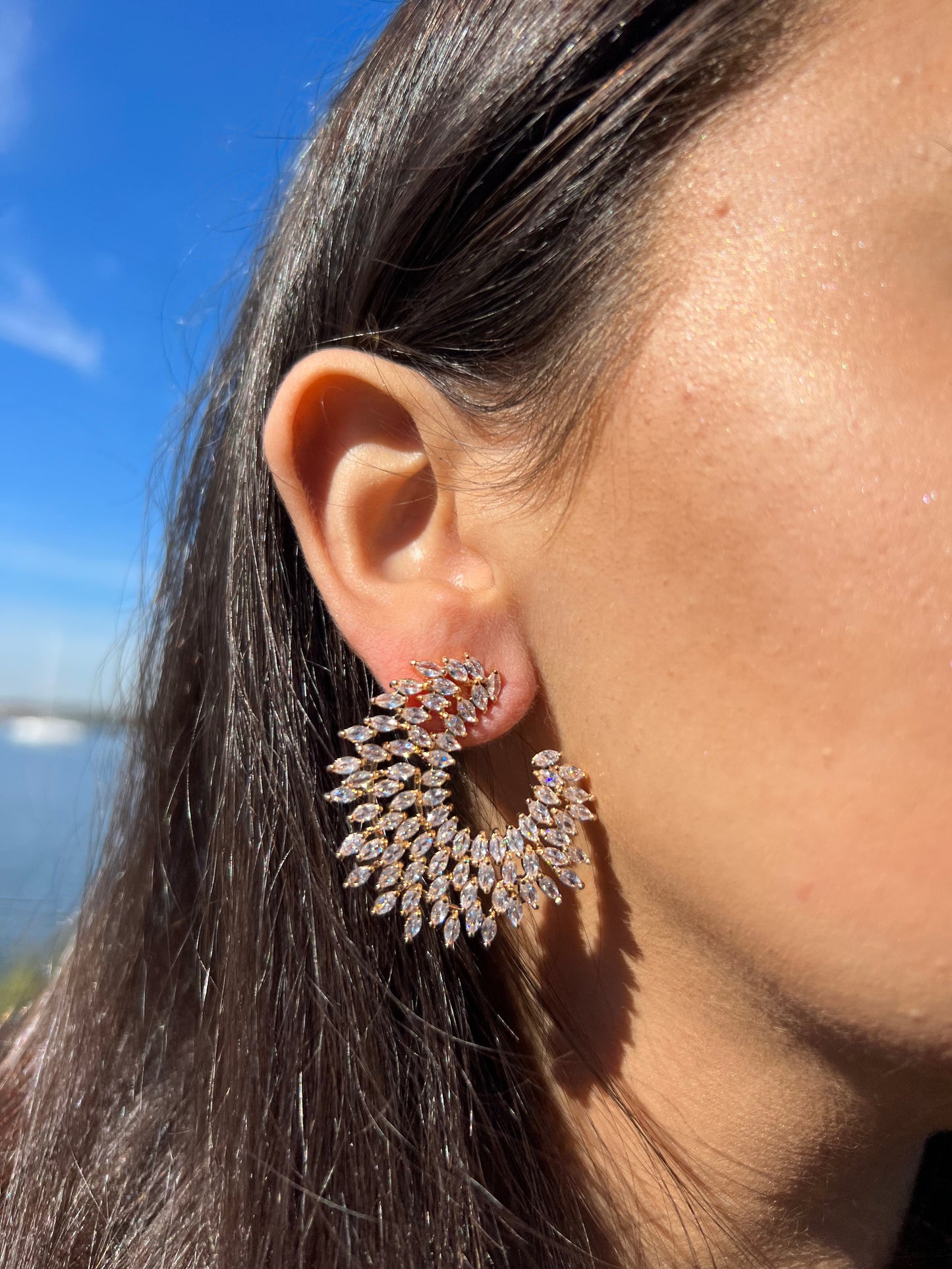 Outer burst Earring