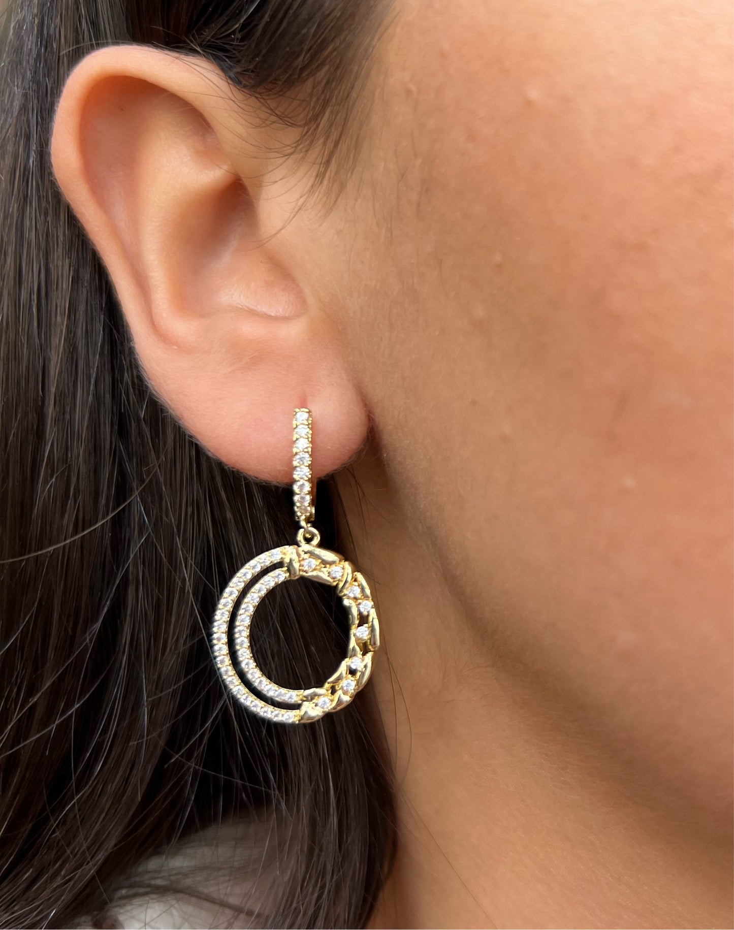 Double Looped Earrings